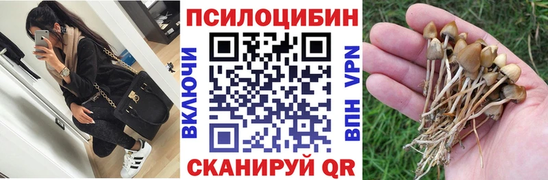 Галлюциногенные грибы ЛСД  Нижнеудинск 